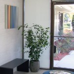 Potted plant